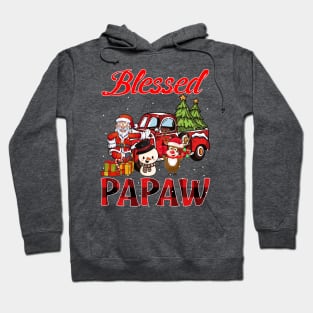 Blessed Papaw Red Plaid Christmas Hoodie